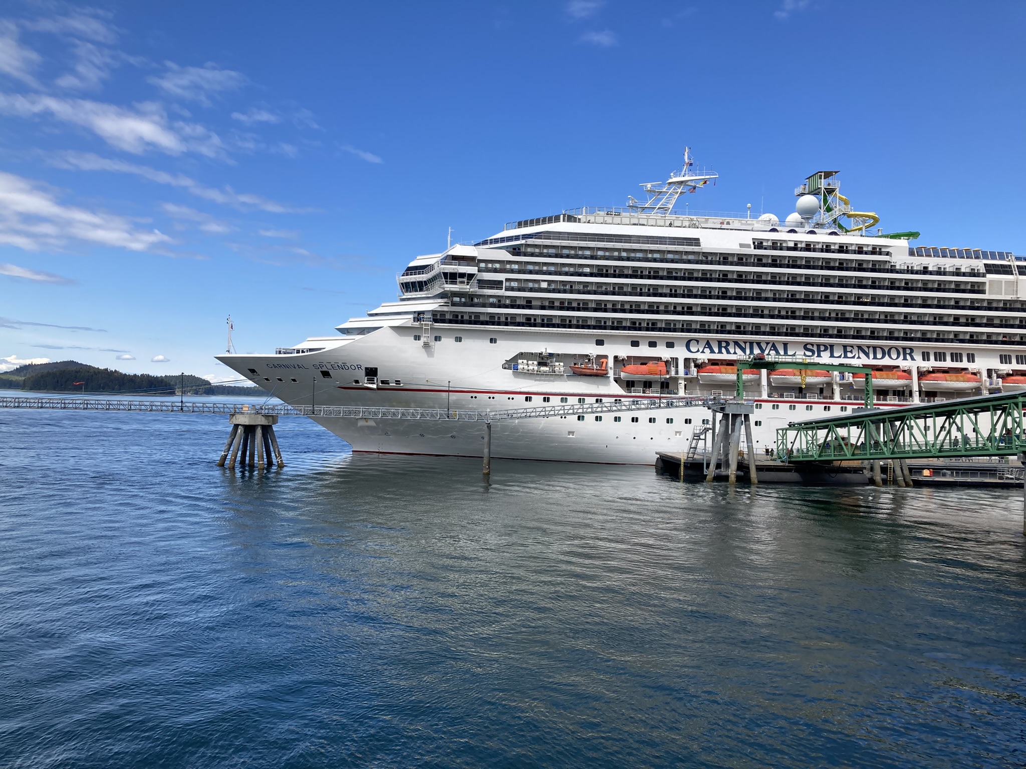 Carnival Splendor: The Pink-Headed Step-Child