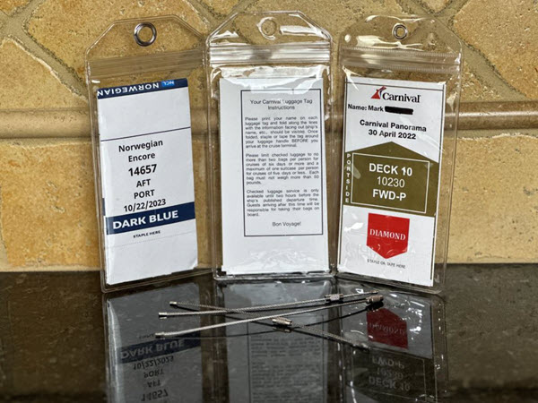Best Cruise Luggage Tag Holders (Our Top Pick)