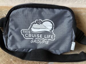 This Cruise Life Groupie Crossbody Bag