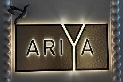 Ariya Valiant Lady: Menu, Photos, and Our Honest Take